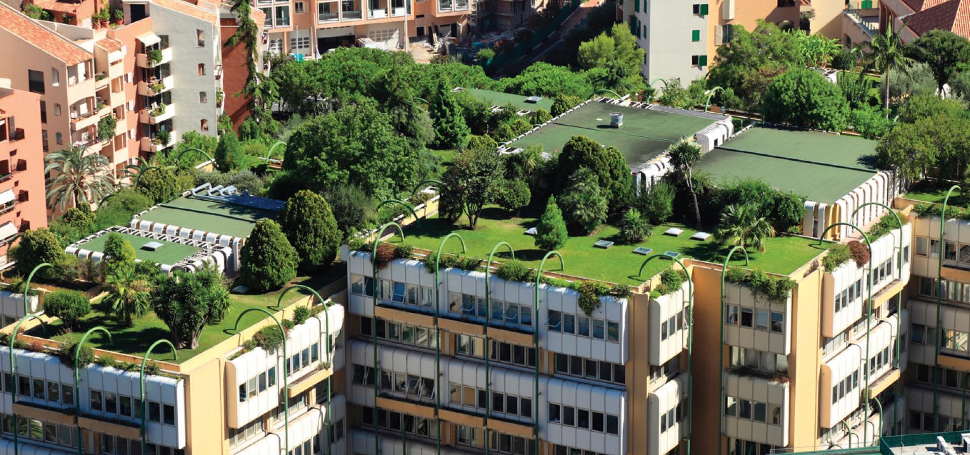 COPY_Green Roof-Urbanscape (3)