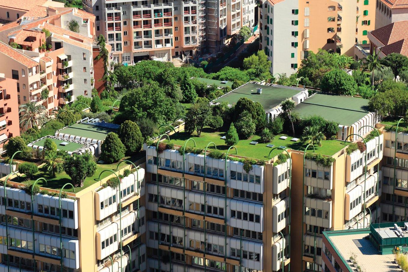 Green Roof-Urbanscape 3 (002)